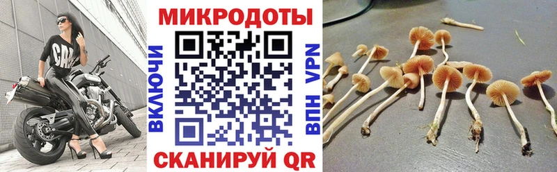 Псилоцибиновые грибы прущие грибы  Новосиль 