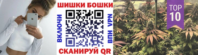 где продают   Новосиль  Конопля SATIVA & INDICA 